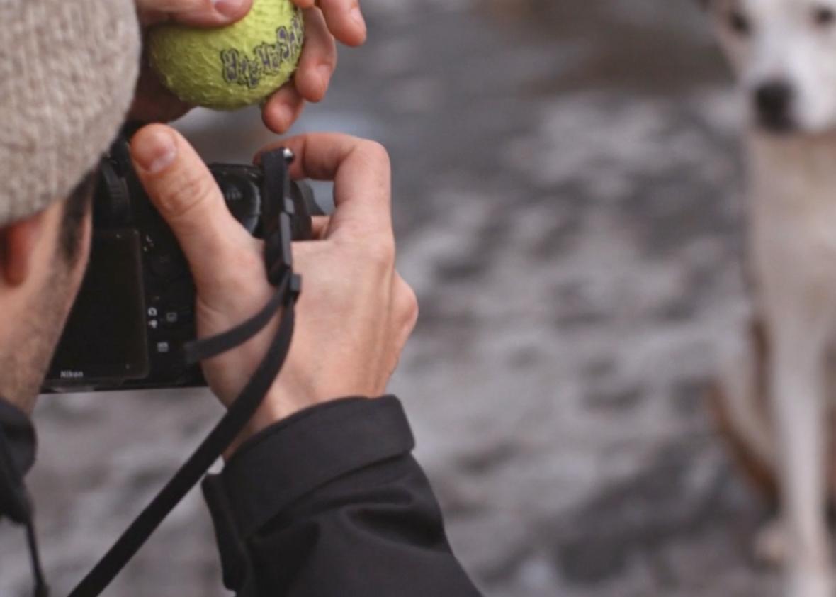 How The Dogist's Instagram dog photos became so popular (VIDEO).