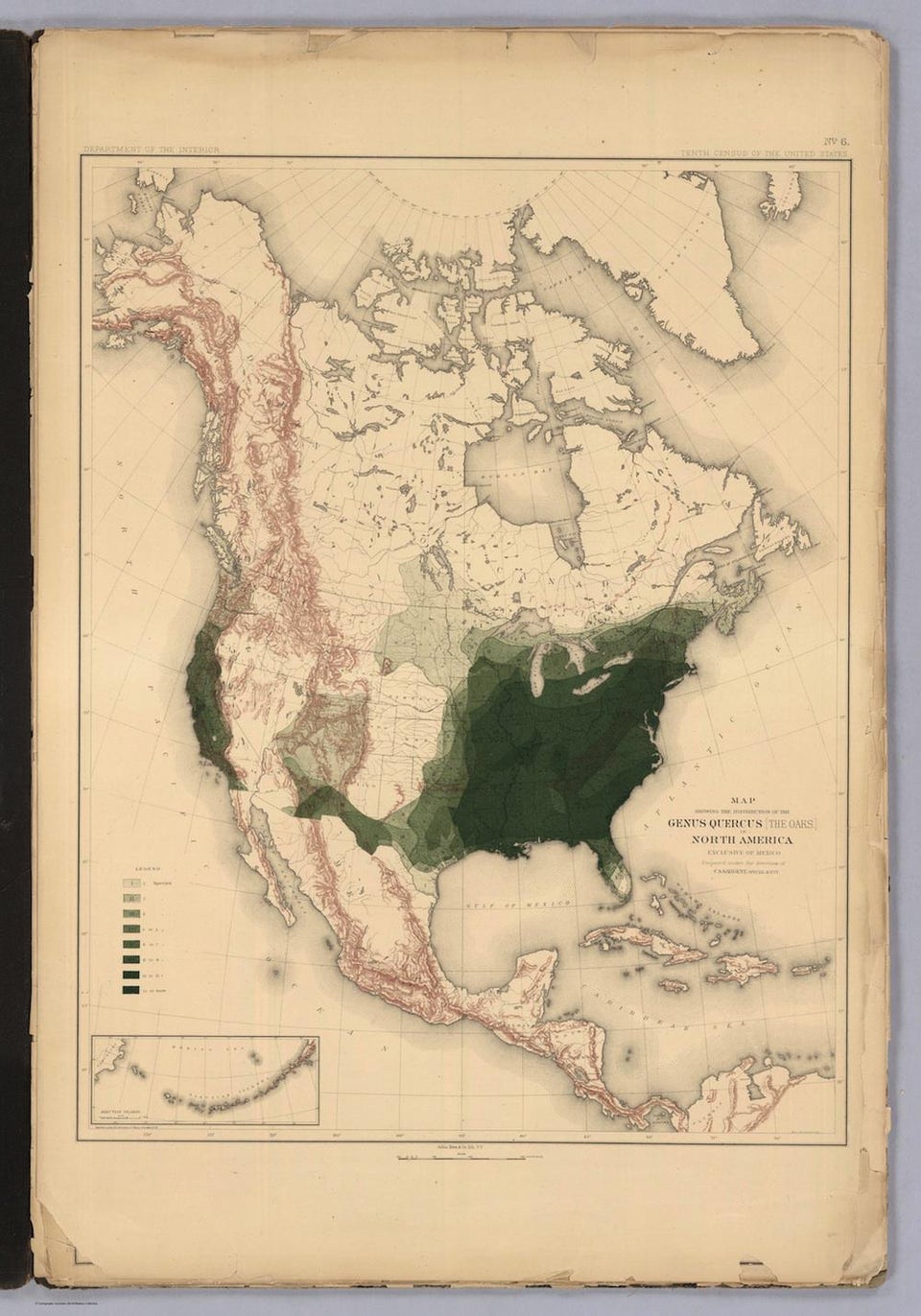 History of American Forests: Tree maps made for 1884 census.