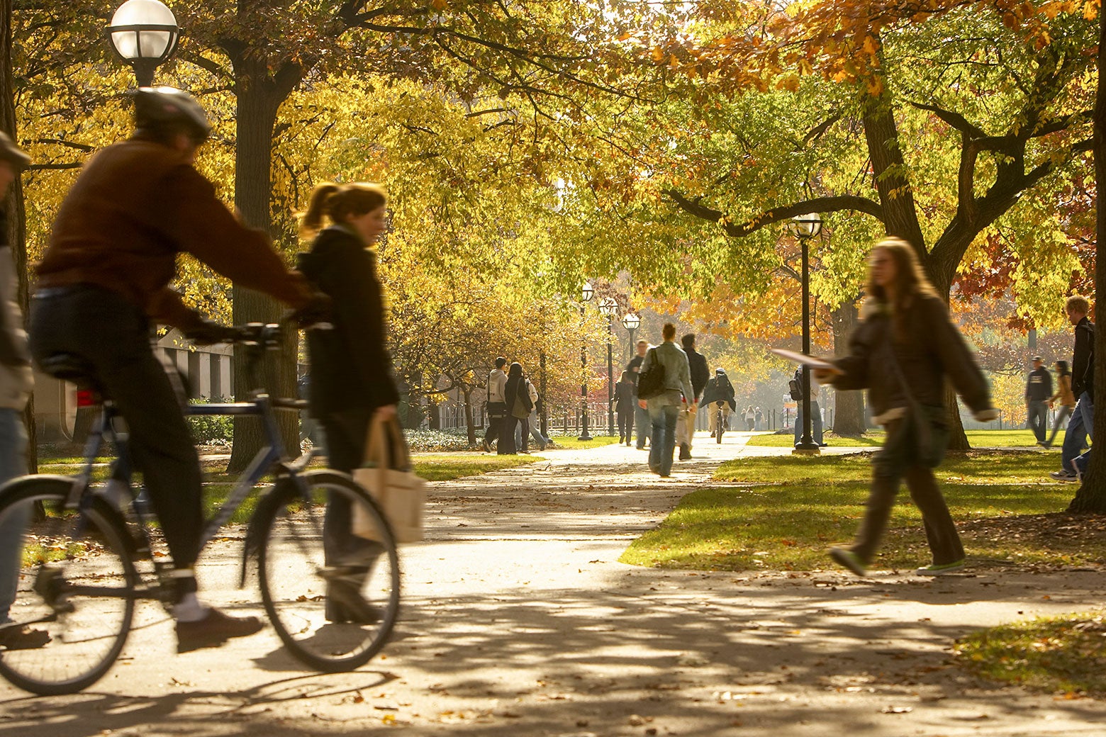 Students walking and riding bikes on footpaths surrounded by trees and fallen leaves