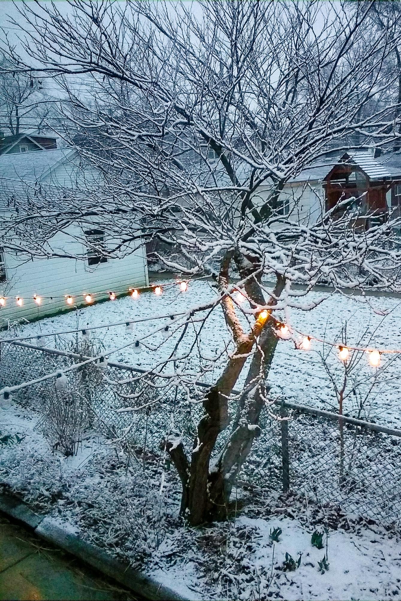 A backyard covered in snow with a string of lights hanging from a tree.