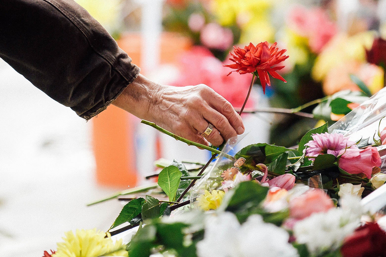 A hand reaching down to lay a flower on the memorial.