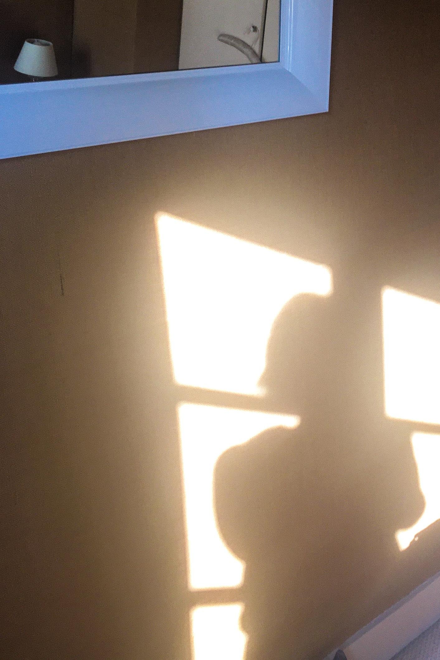 A silhouette of a person created by a sunlit window.