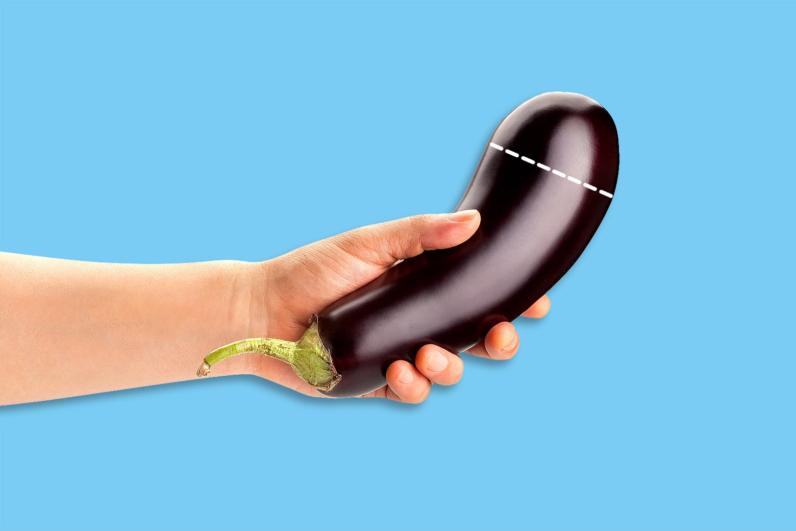 A hand holding an eggplant with a dotted line drawn near the tip of it.