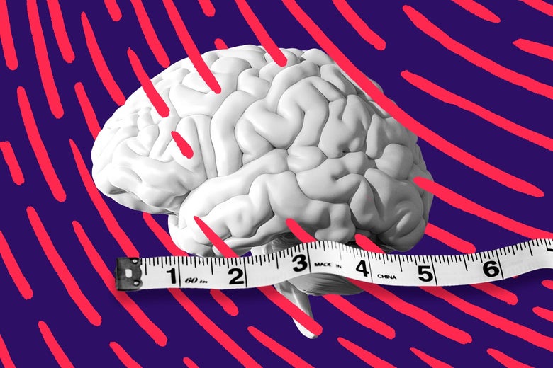 Puzzles Aren’t The Best Way to Boost Your Brain. Empathy Is. Puzzles Aren’t The Best Way to Boost Your Brain. Empathy Is.