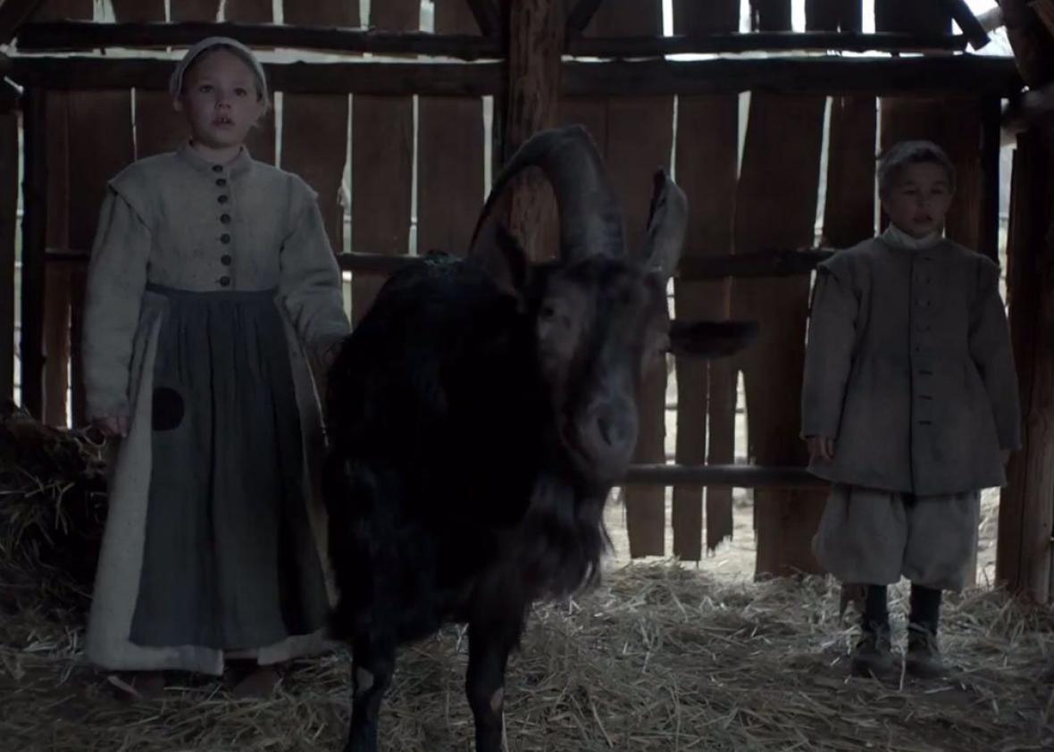 Black Phillip in The Witch.