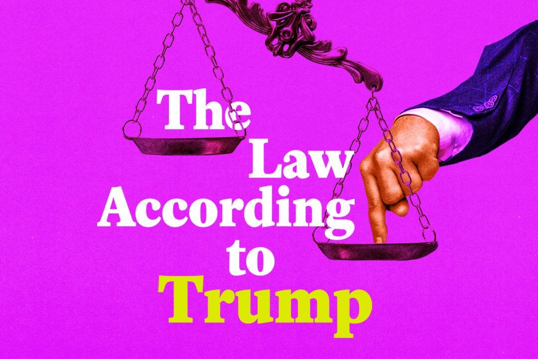 The Law According to Trump