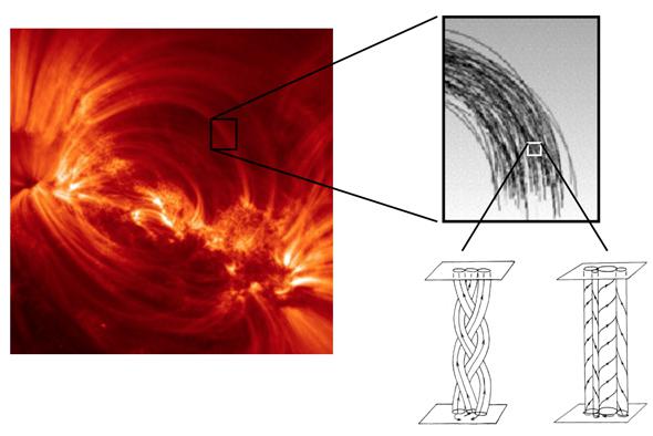 coronal loop