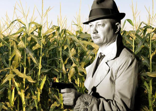 corn spy.