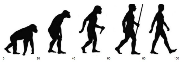 The majority of Trump supporters surveyed described black people as “less evolved.”