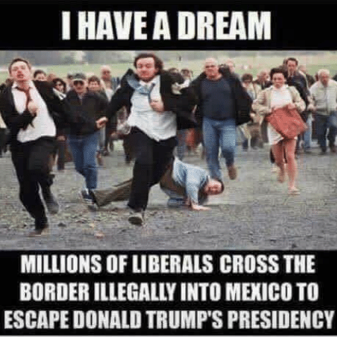 "I Have A Dream" meme