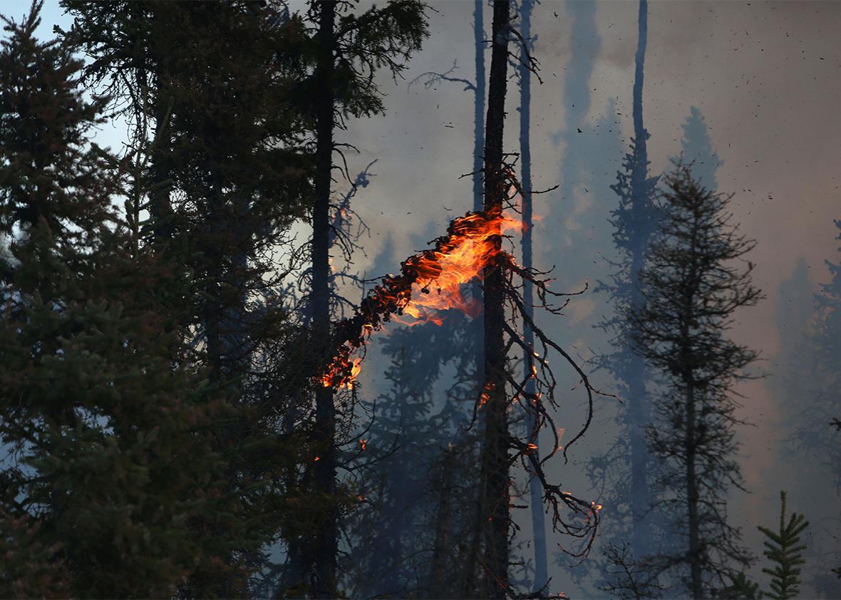 Smoke and flames can be seen along the highway near Fort McMurray, Alberta, Canada on May 6, 2016.
