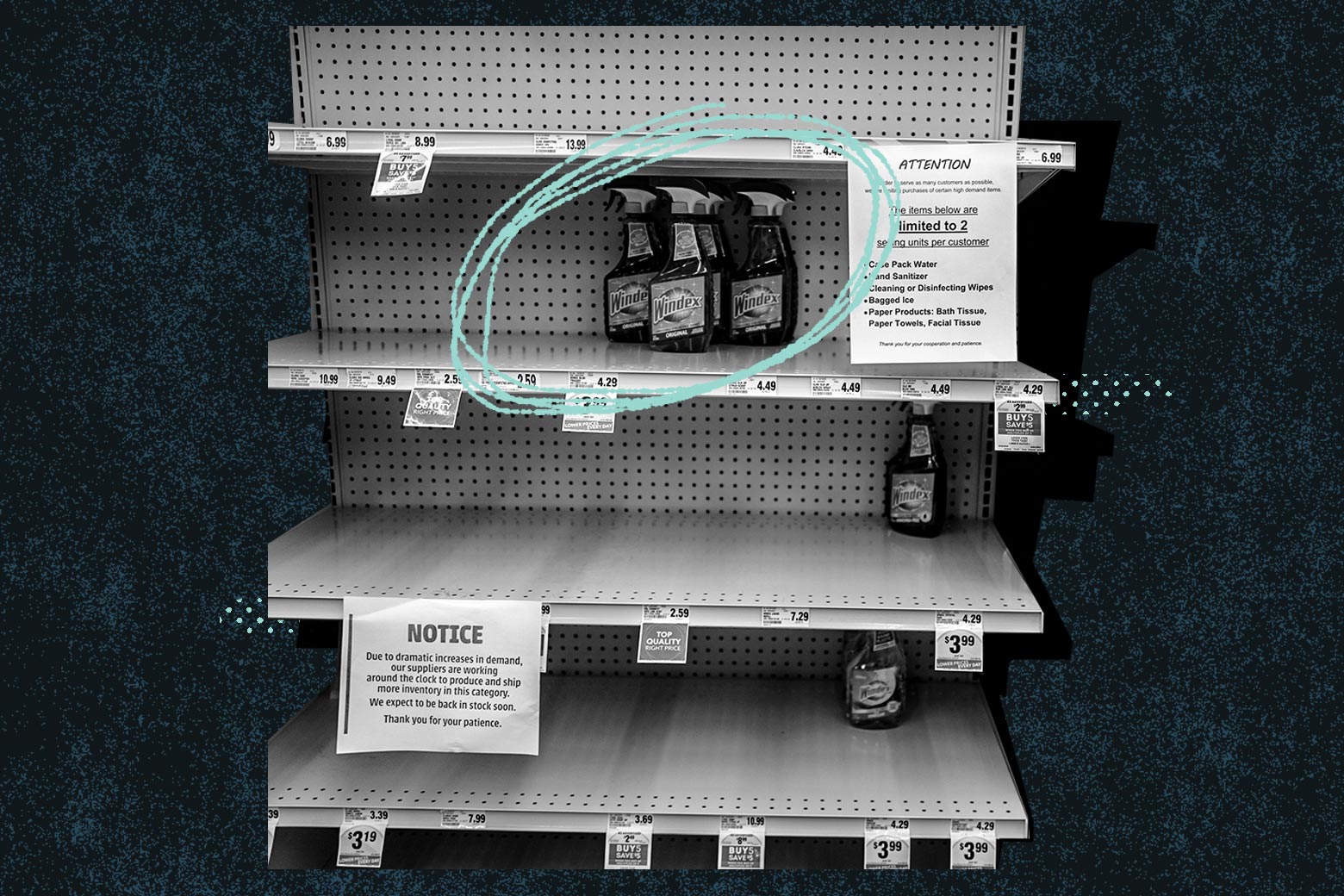 A mostly empty grocery shelf with bottles of spray circled.