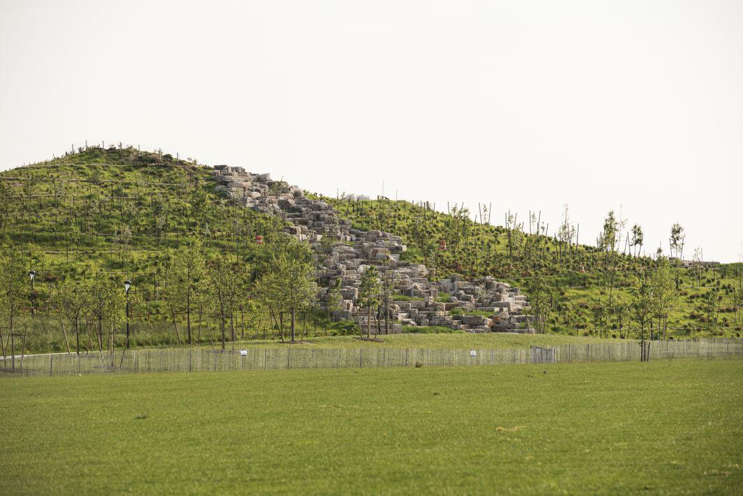 The Hills Governors Island Timothy Schenck 3