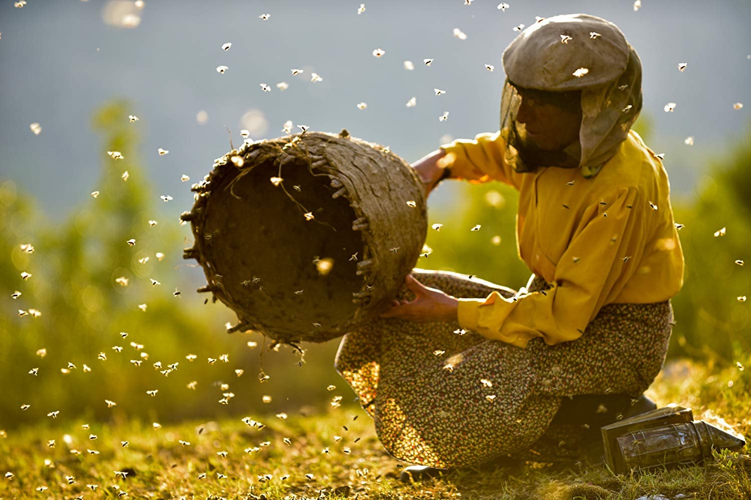 A woman dressed in yellow with a beekeeper's mask holds a halved beehive. A swarm of bees surrounding her.