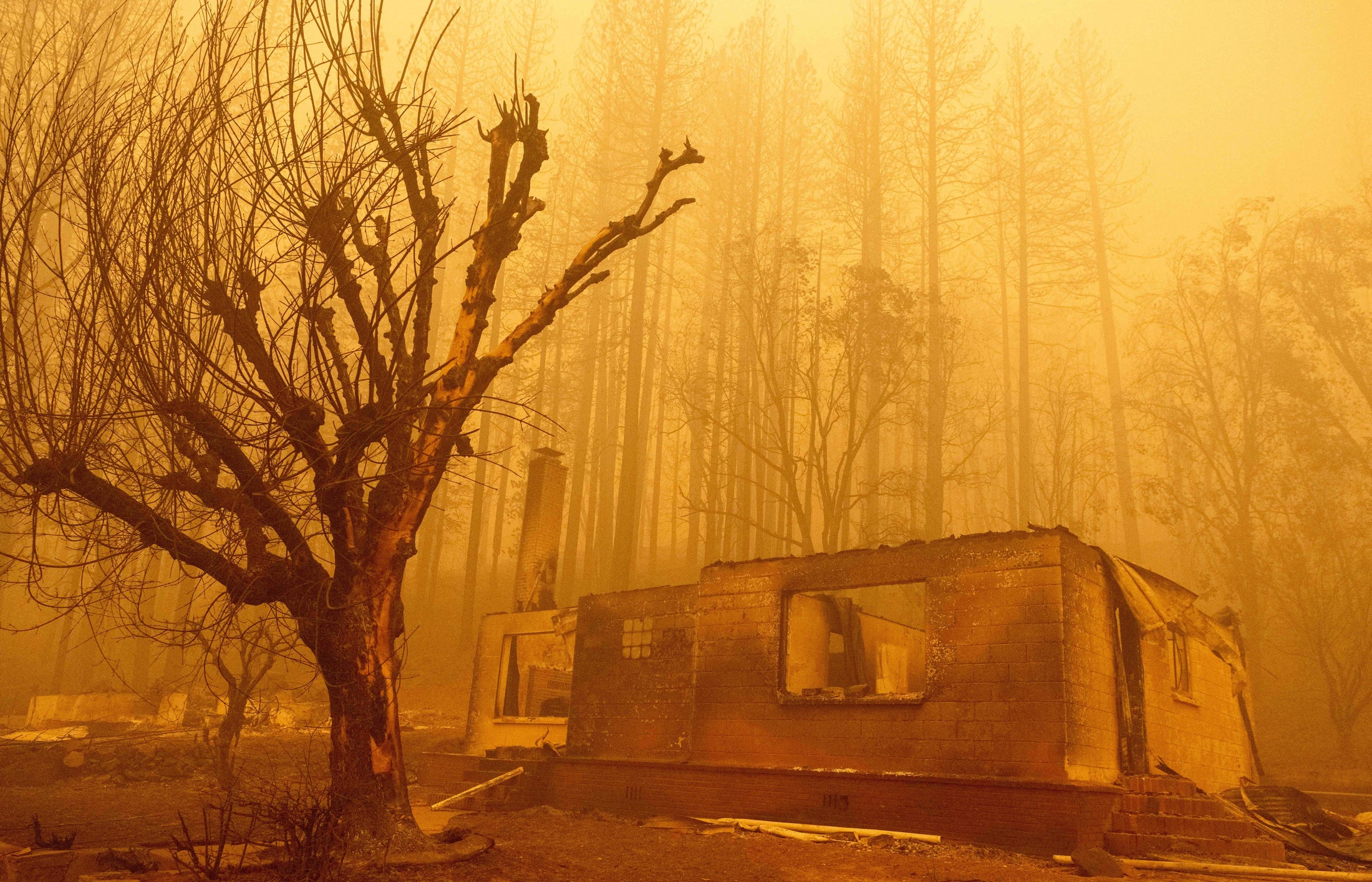 dixie-fire-is-now-second-largest-wildfire-in-california-s-history