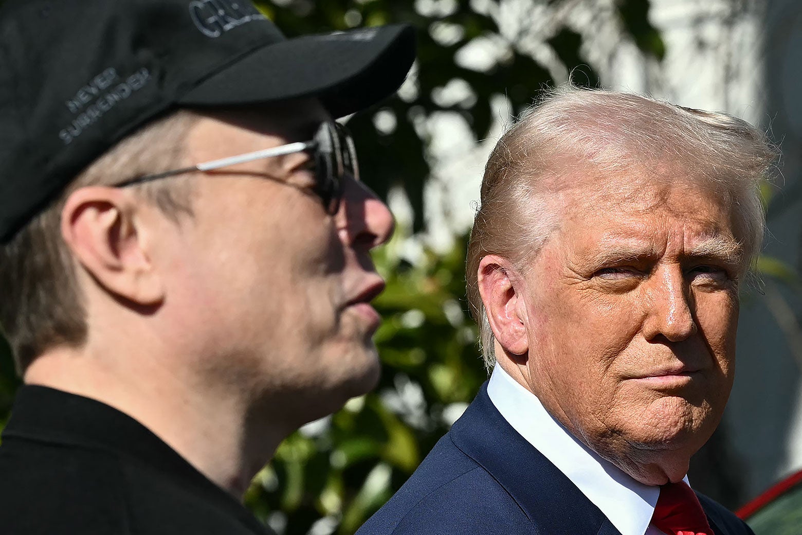 The Right-Wing Online Melted Down Over the Trump-Musk Feud. To MAGA, There Was a Clear Winner.