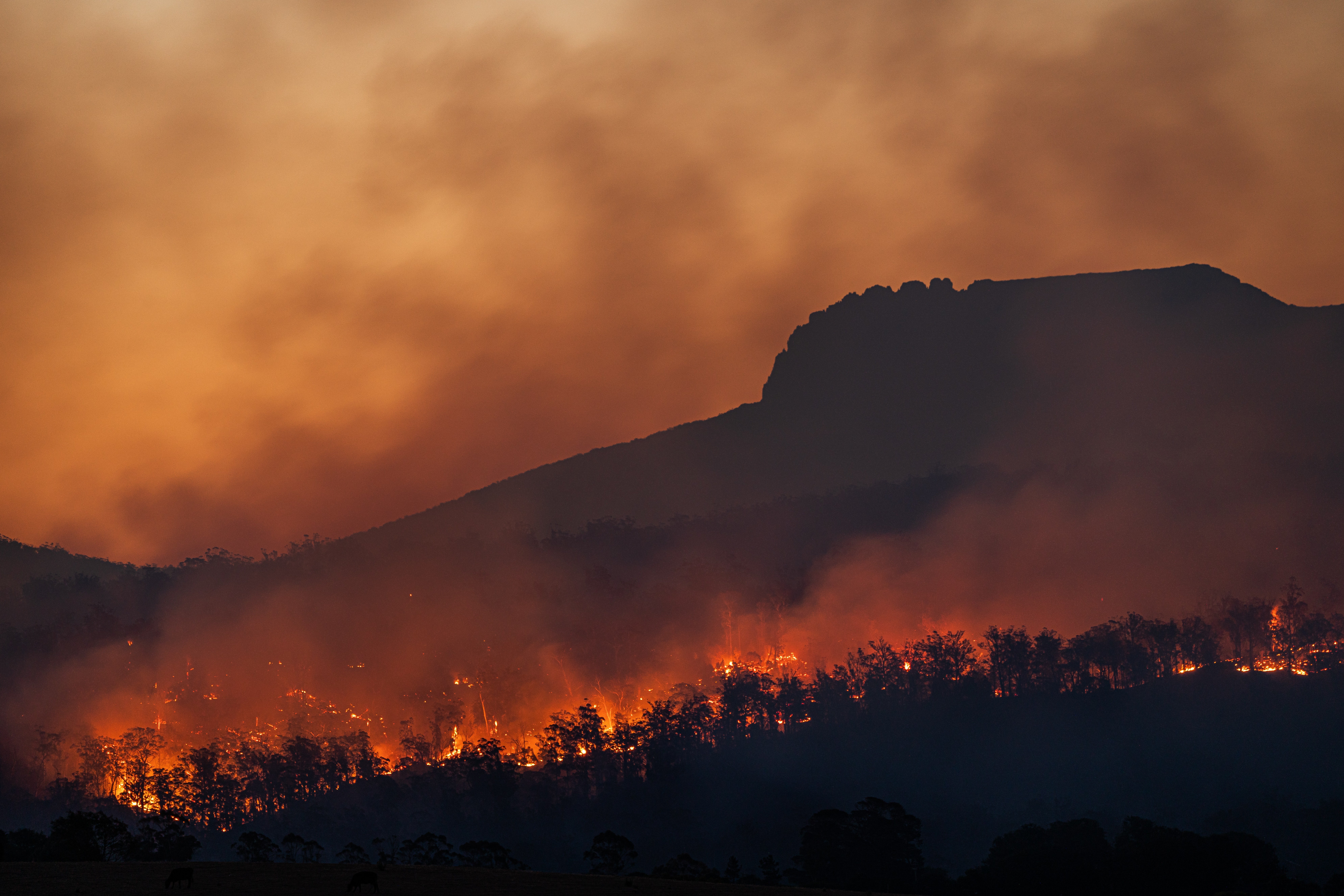 We can't stop climate change but we can fight to survive it. - Vimarsana News