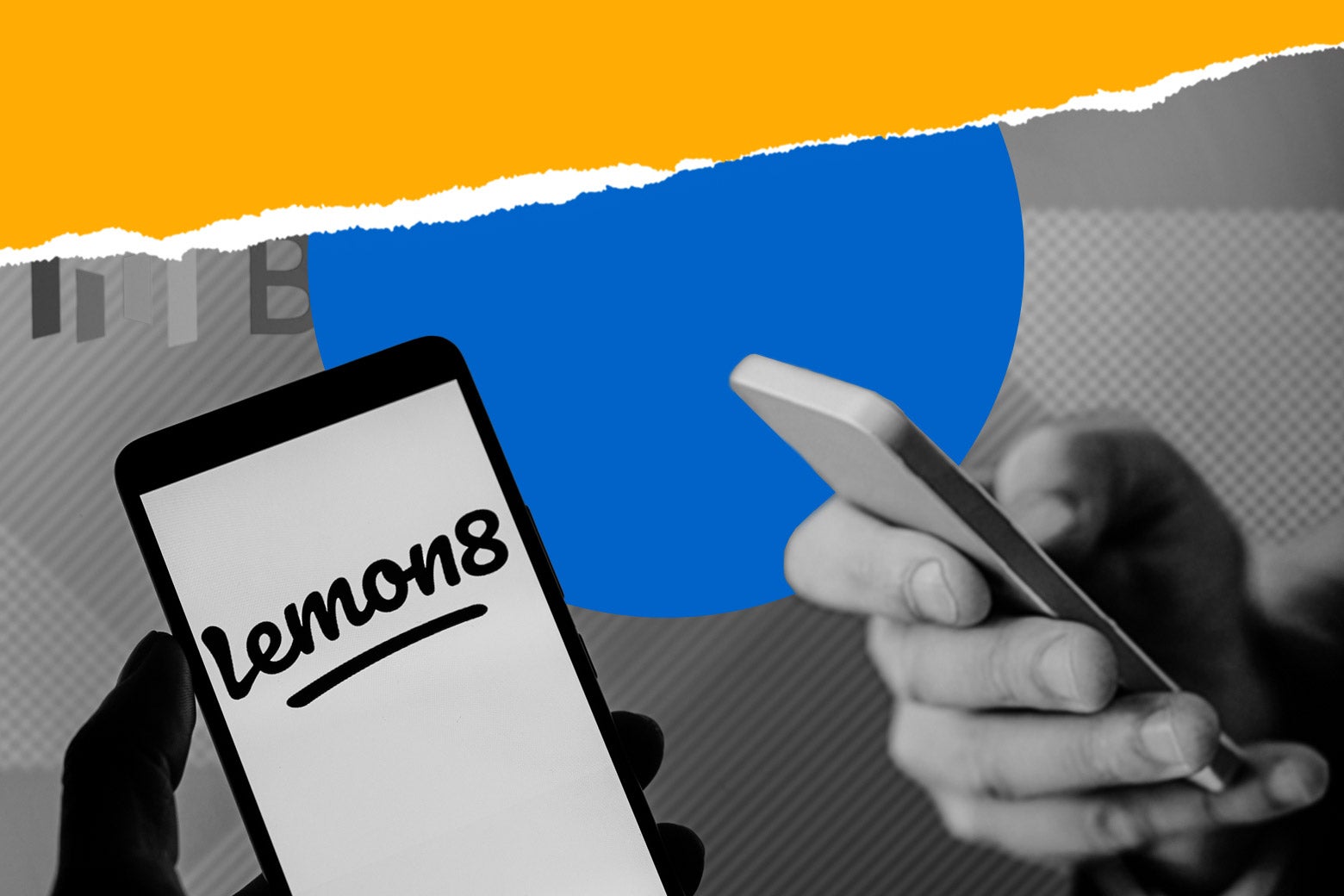Lemon8 is new, hot and maybe doomed. - Vimarsana News