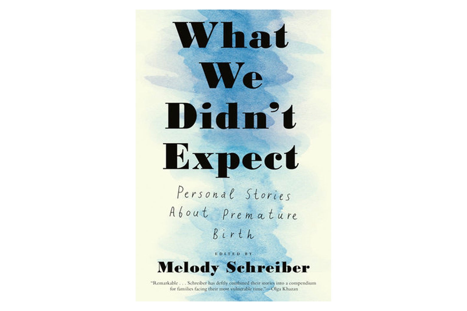 A cover of the book "What We Didn't Expect."