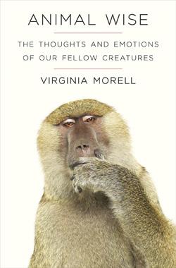 Animal Wise by Virginia Morell.