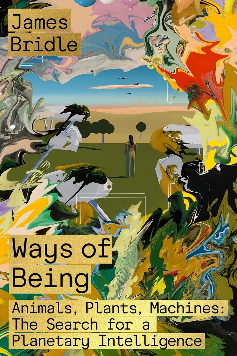 The cover of James Bridle's book, Ways of Being