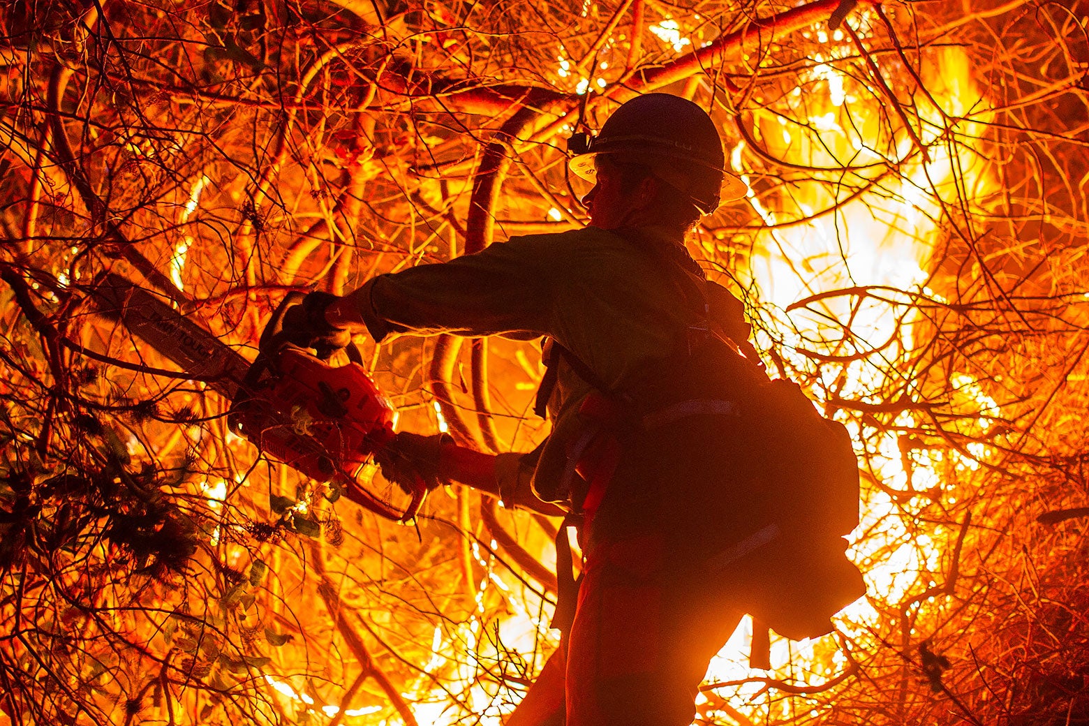 Last Year Was the Hottest Year in Recorded History. Buckle Up.