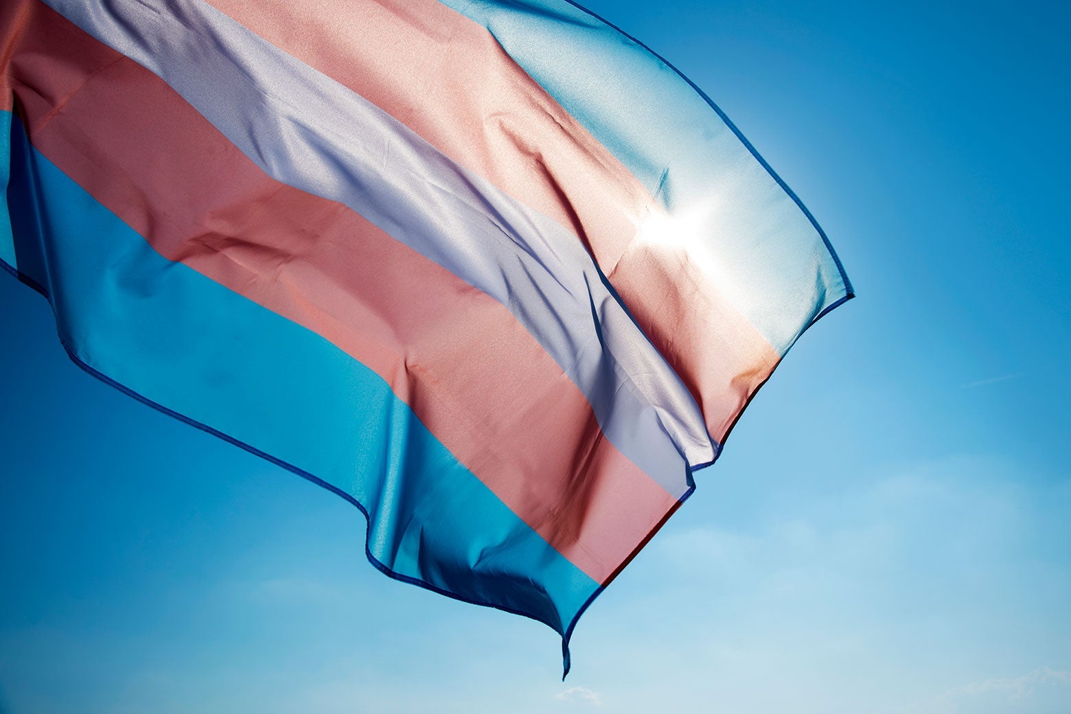 The transgender flag (blue, pink, and white lines) against a sunny blue sky.