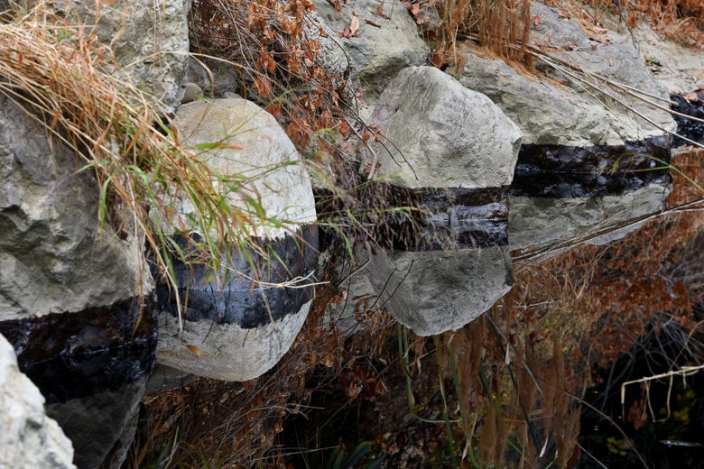 Trump removes pollution protections for America’s rivers and streams.