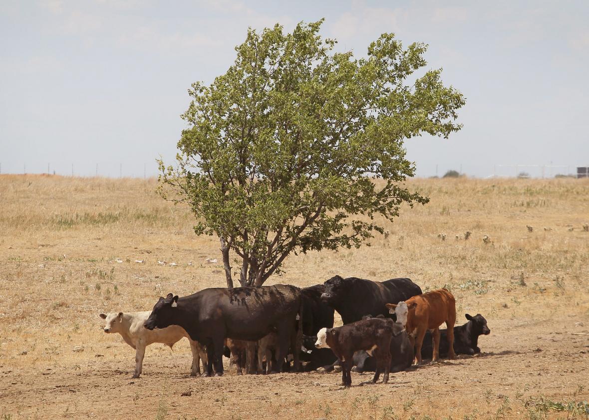 how-is-wasting-water-bad-for-the-environment