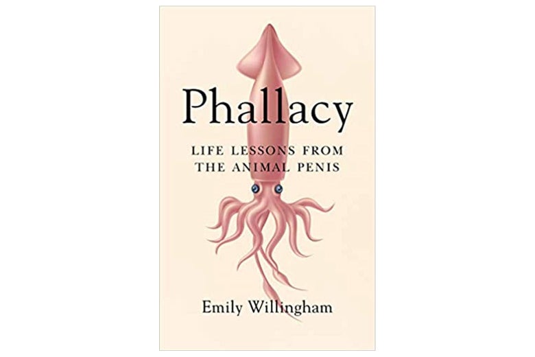 Book cover of Phallacy.