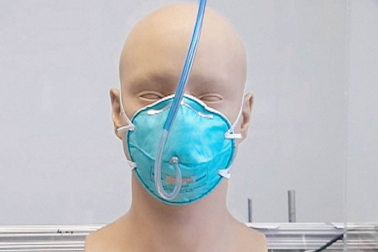 The Creepy Test Subjects Used in Mask Studies The Creepy Test Subjects Used in Mask Studies