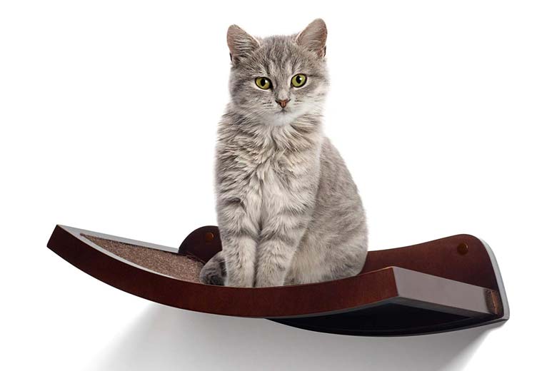 Cat Shelf