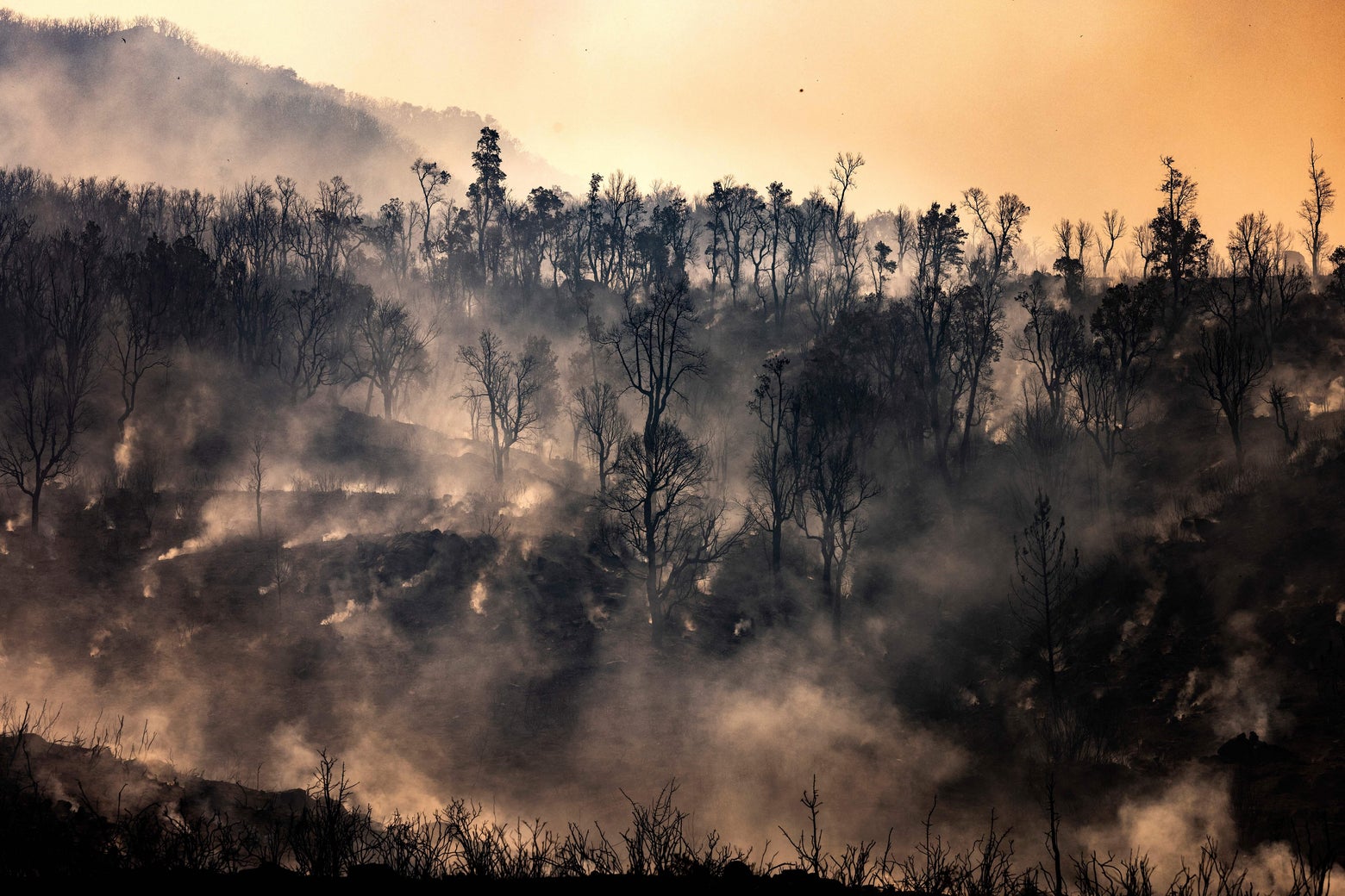 2021 was a unique climate disaster year, which may be the best we can hope for.