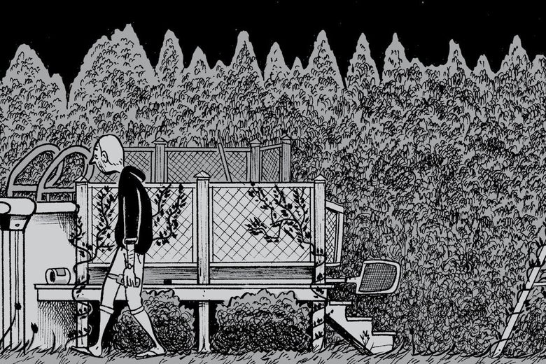 A Master Memoirist Faces the Mid-Life Blues A Master Memoirist Faces the Mid-Life Blues