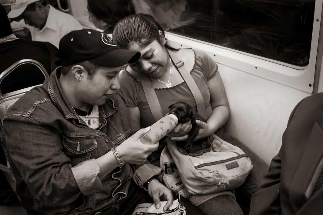 Metro Line 3 near Coyoacan, Mexico City, 2009