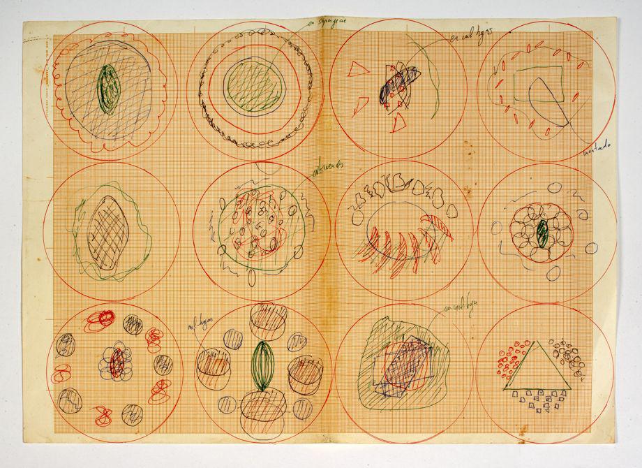 Elbulli group essay 07 image