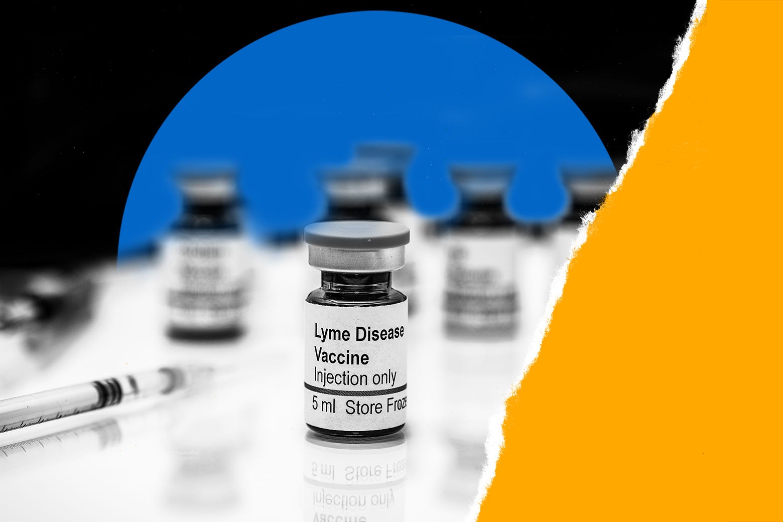 A new Lyme vaccine is in latestage trials.