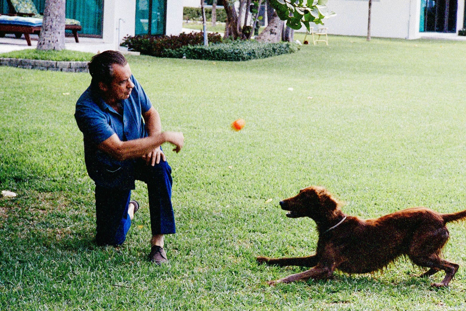 Richard Nixon, in 1970s leisurewear, tosses an orange ball to a dog on a green lawn in Florida.