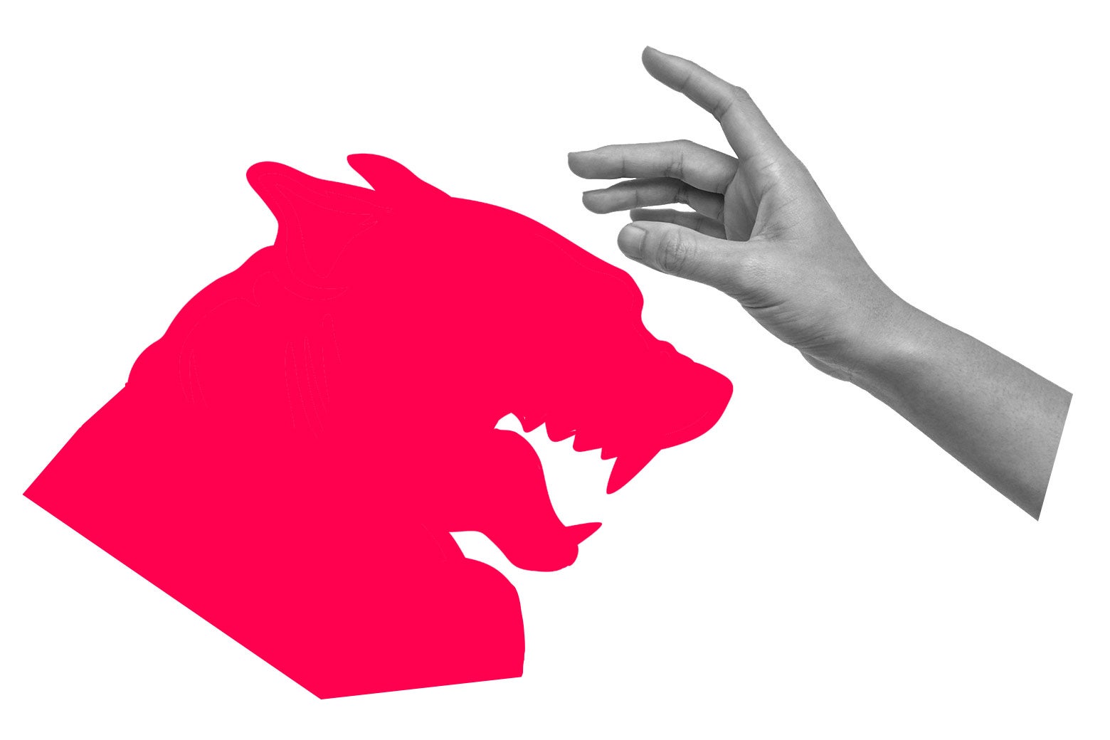 Help! My Friend Is In an Abusive Relationship With Her Dog.