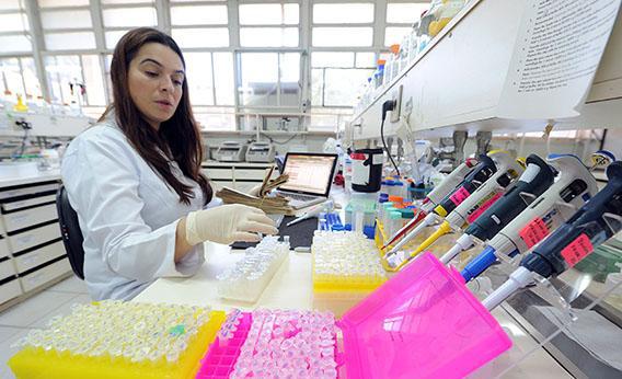 A scientist of Brazilian Enterprise for Agricultural Research analyzes vegetables samples at the National Center for Genetic Resources laboratory in Brasilia on Dec. 19, 2012.