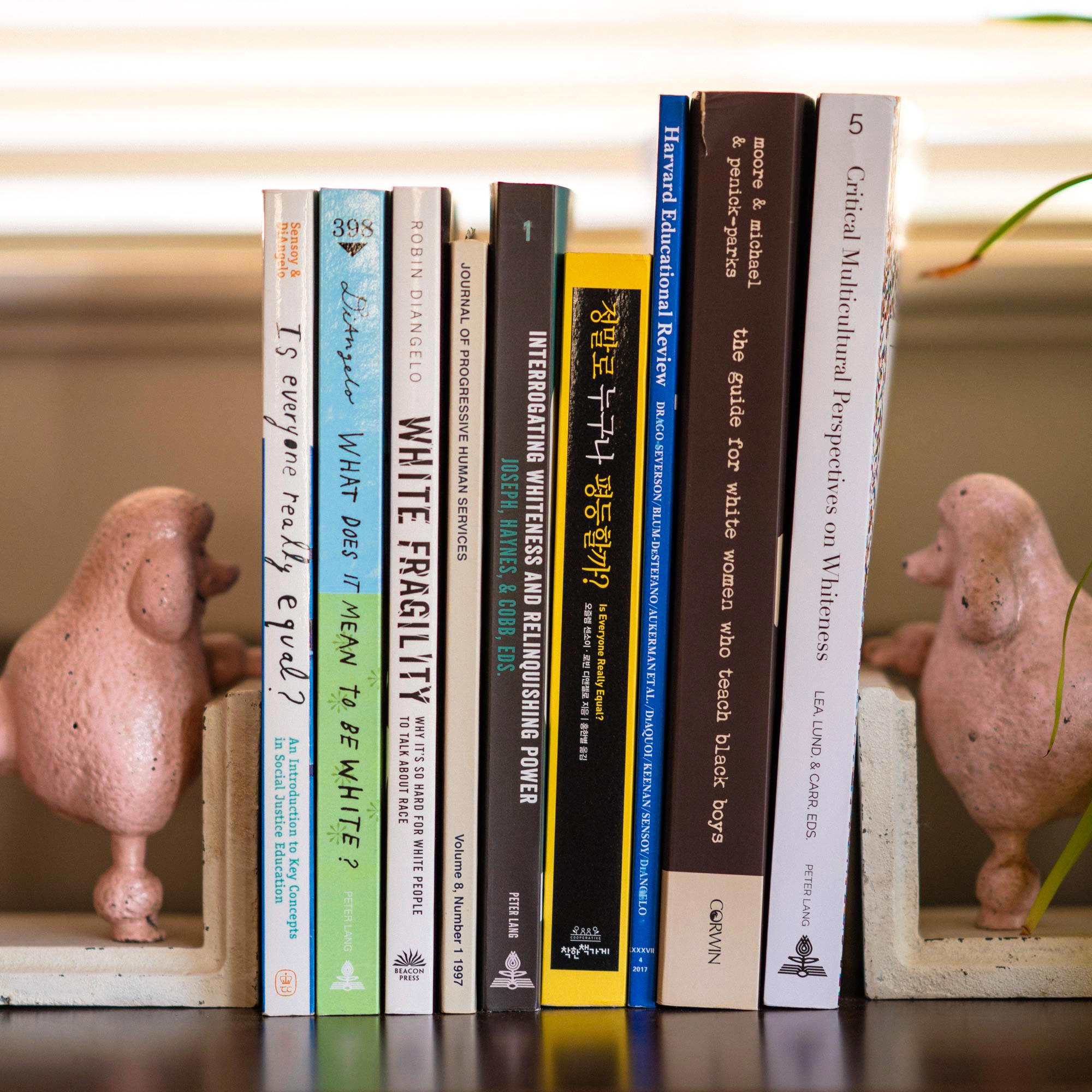 books in Robin DiAngelo's home: "Is Everyone Really Equal?"; "What Does It Mean to Be White?"; "White Fragility"; "Critical Multicultural Perspectives on Whiteness," among others