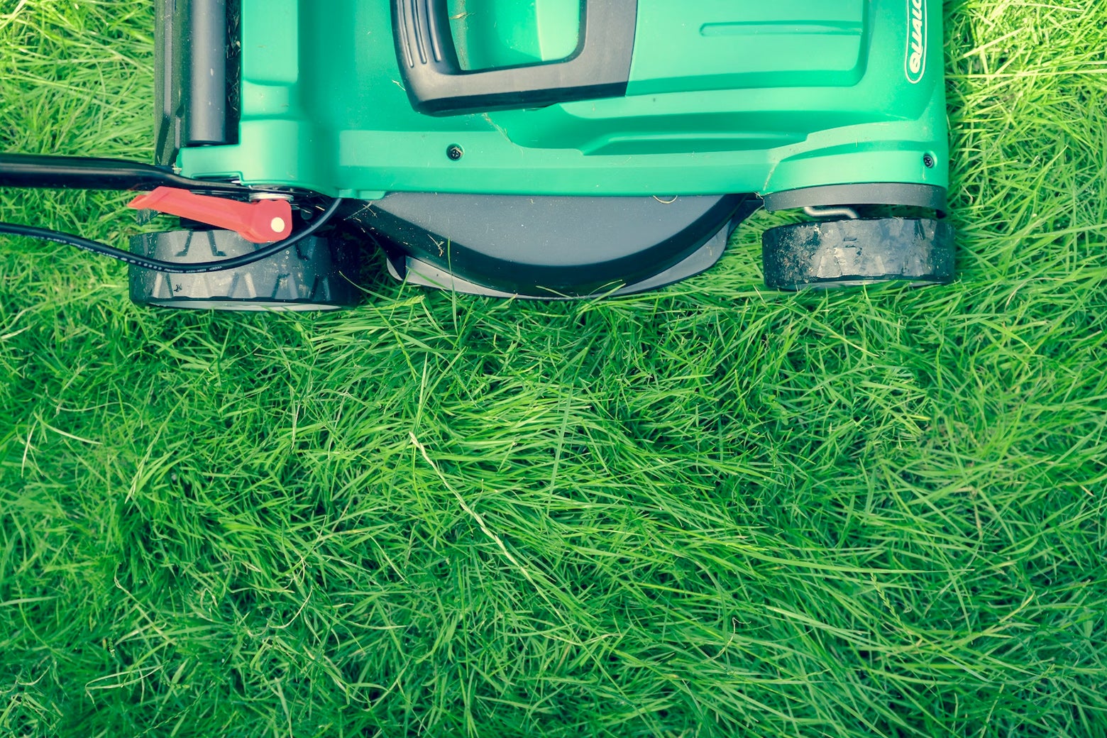 An overhead, slightly obscured view of a lawnmower rolling over a field of grass