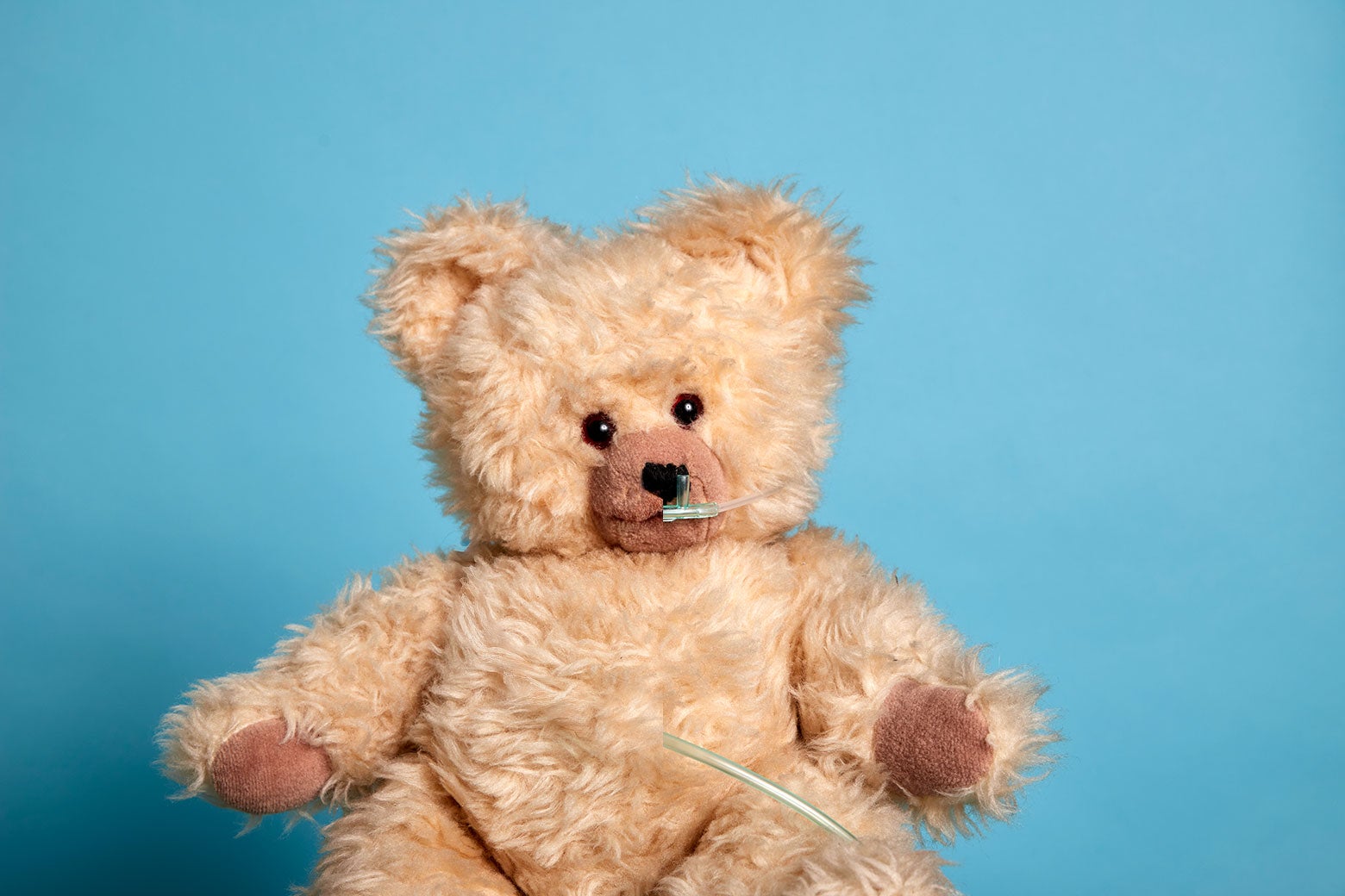 slate.com - Sonia Weiser - These Parents Suffered One of the Worst Fates Imaginable. They Found Comfort in a Surprising Place.