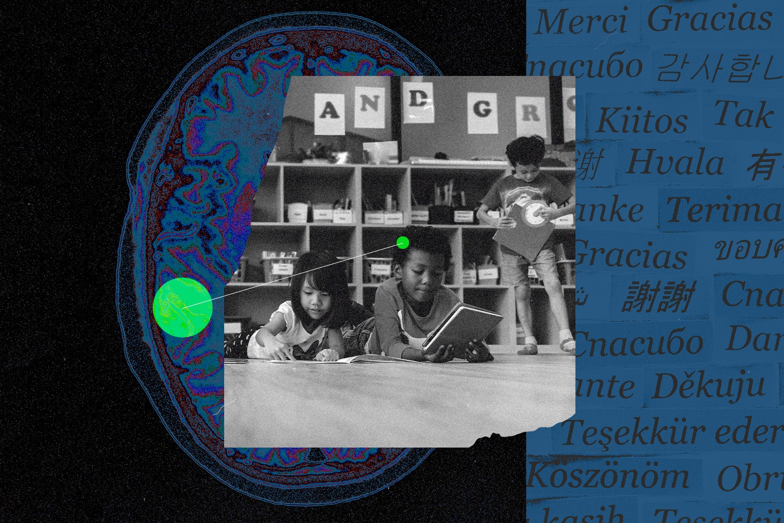 A side-by-side of "thank you" in multiple languages, along with a brain scan. On top of the scan, a black-and-white image of kids in a classroom, with a green connecting line between the brain of one kid and the brain scan.