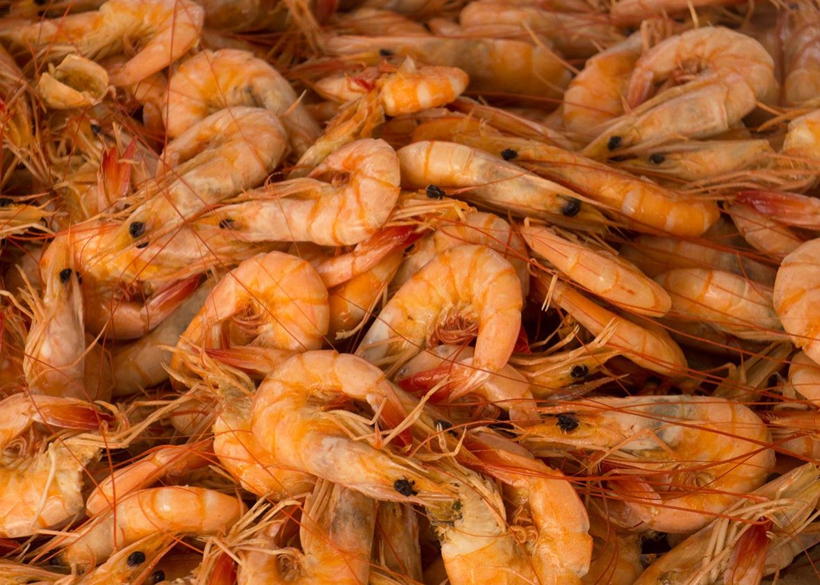 A visit to Louisiana’s shrimp and petroleum festival.