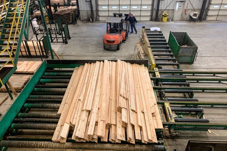 White pine boards come off the line at Robbins Lumber in Searsmont, Maine.
