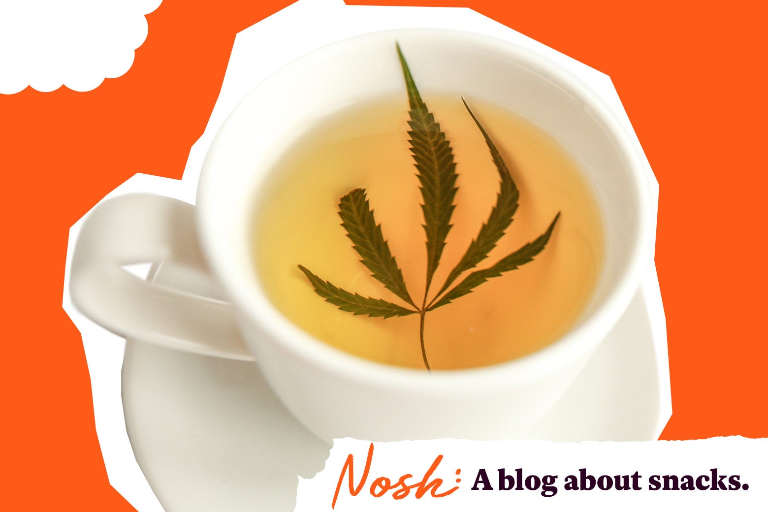 A cup of tea with a marijuana leaf in it.