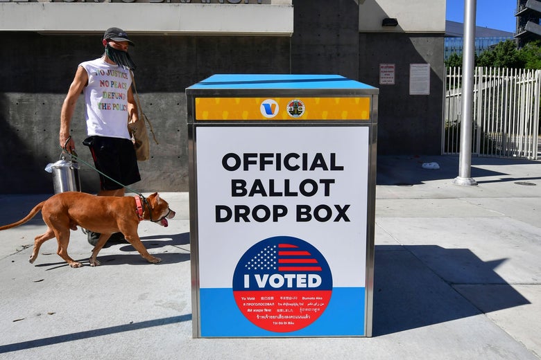 A man in a mask walks a dog on a leash beside a box that says, "OFFICIAL BALLOT DROP BOX."