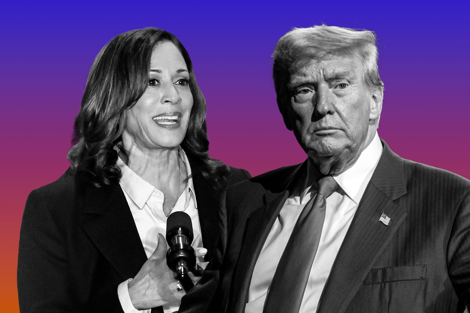 Trump and Harris, Head to Head