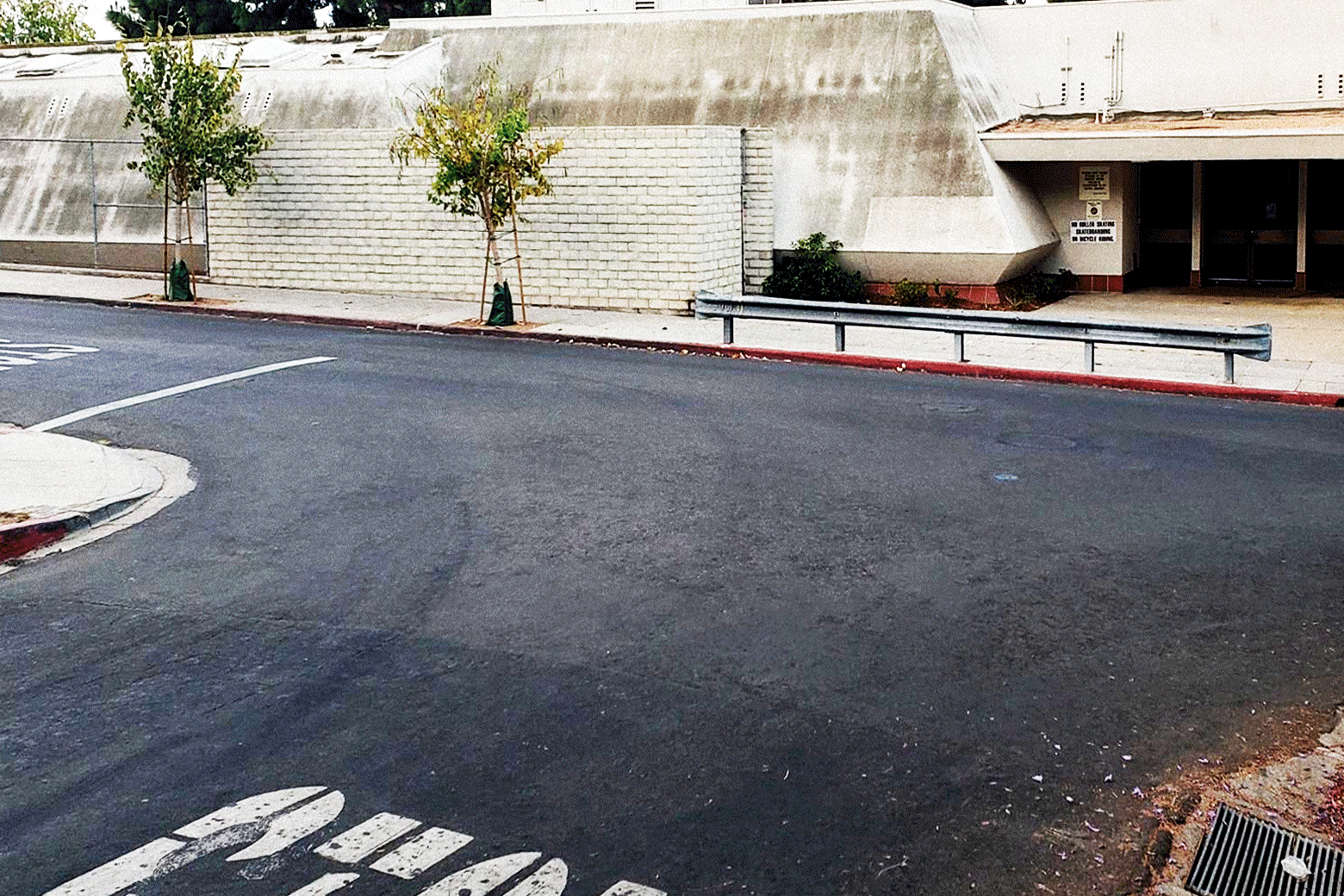 The Pedestrian Outlaws Who Are Tired of Waiting for Cities to Slow Down Cars